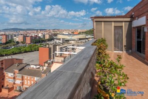 Vistas